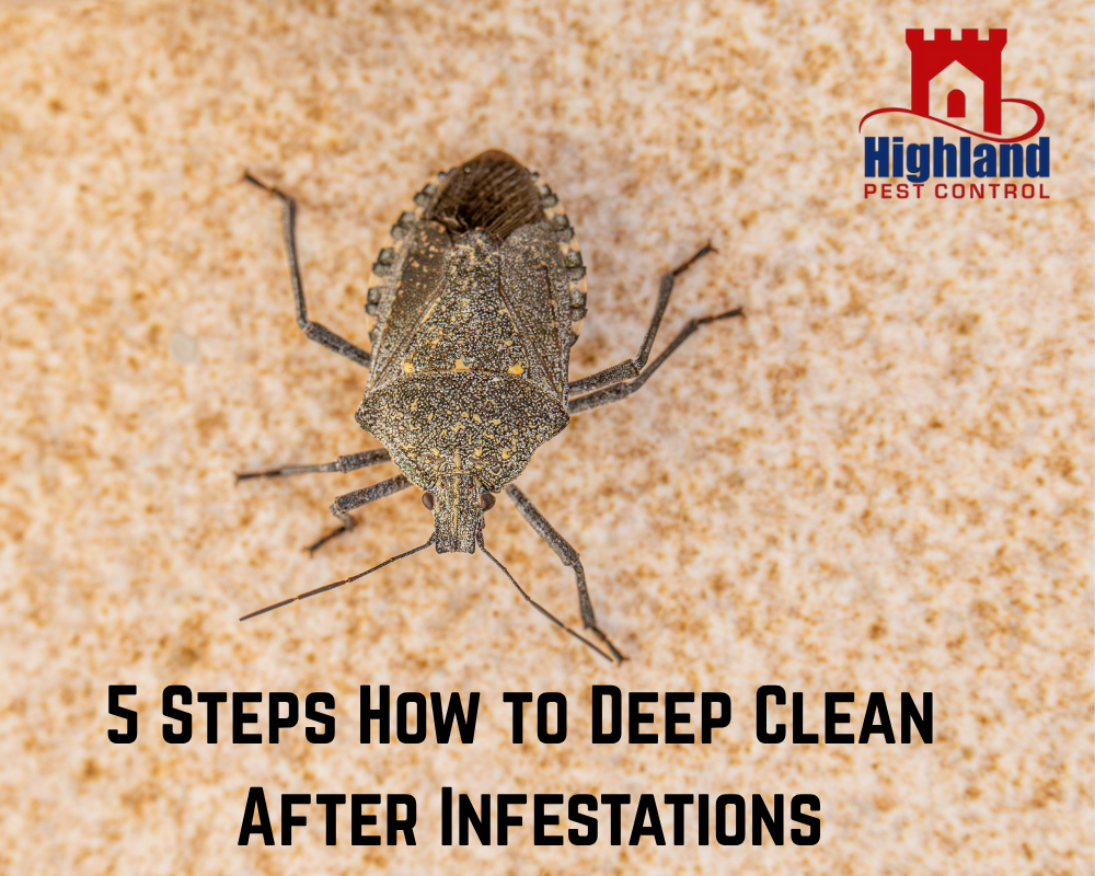Pest Control Cleaning Services: 5 Steps How to Deep Clean After Infestations (Easy Guide for Homeowners)