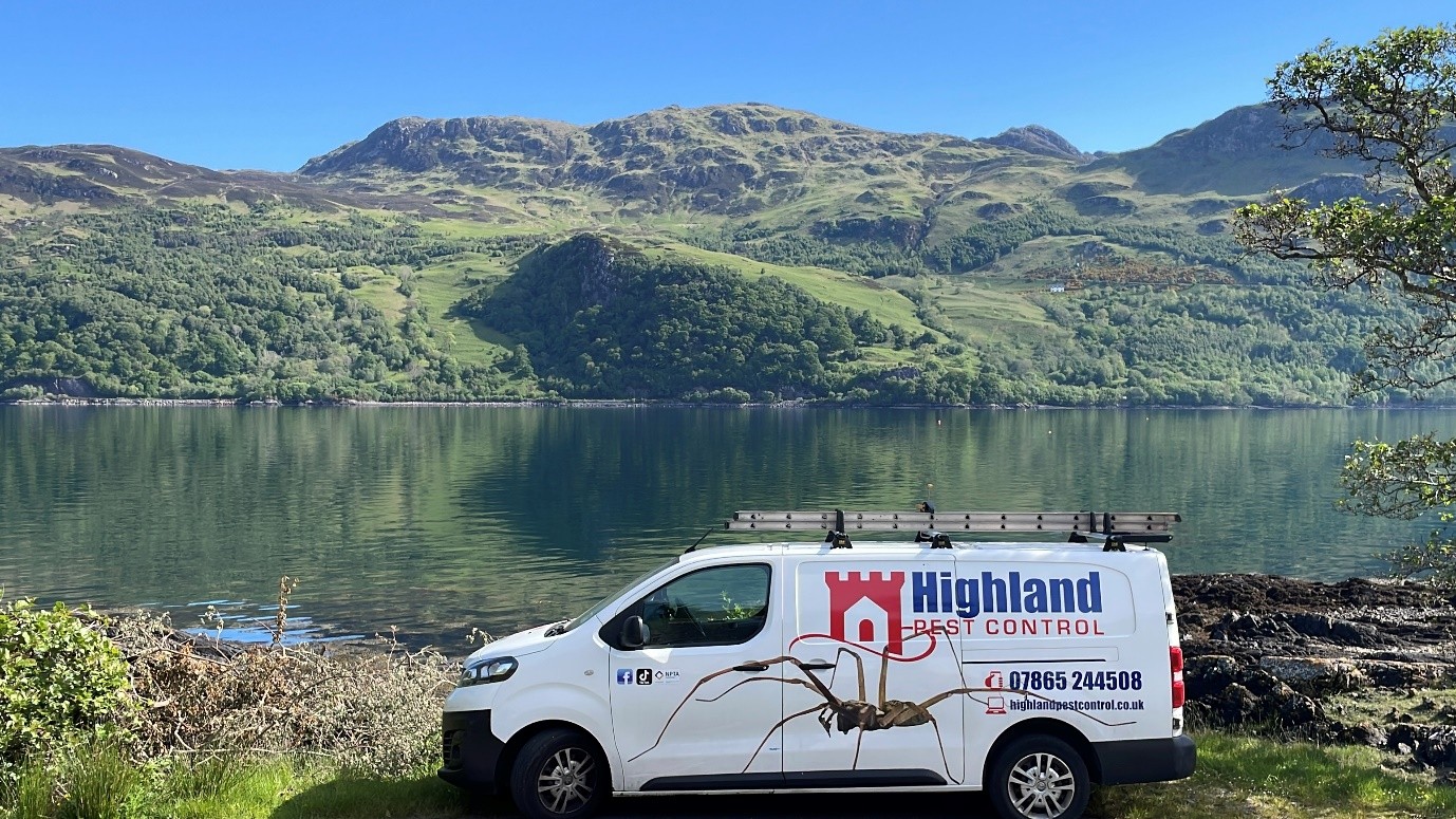 Why Everyone in Inverness Is Talking About the 50% Rodent Surge (And You Should Call Professional Wasp Exterminators Too)