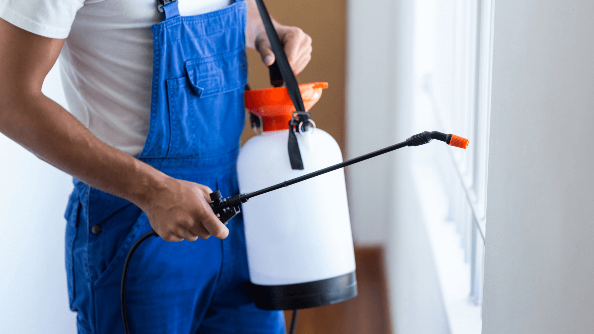 Highland Pest Control in February 2026