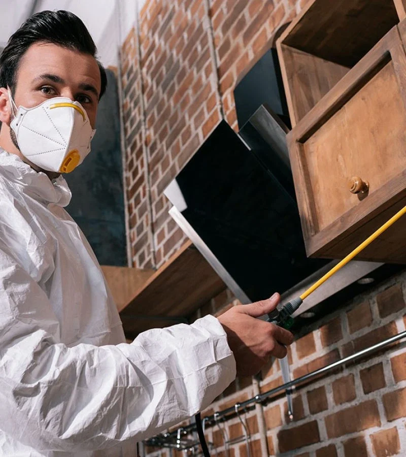 low-angle-view-of-pest-control-worker-spraying-pes-2022-12-16-16-13-02-utc-copy-qbypsyxf0o1tckoya0wsn4nf8yma87dpwkquoibdig low-angle-view-of-pest-control-worker-spraying-pes-2022-12-16-16-13-02-utc-copy-qbypsyxf0o1tckoya0wsn4nf8yma87dpwkquoibdig
