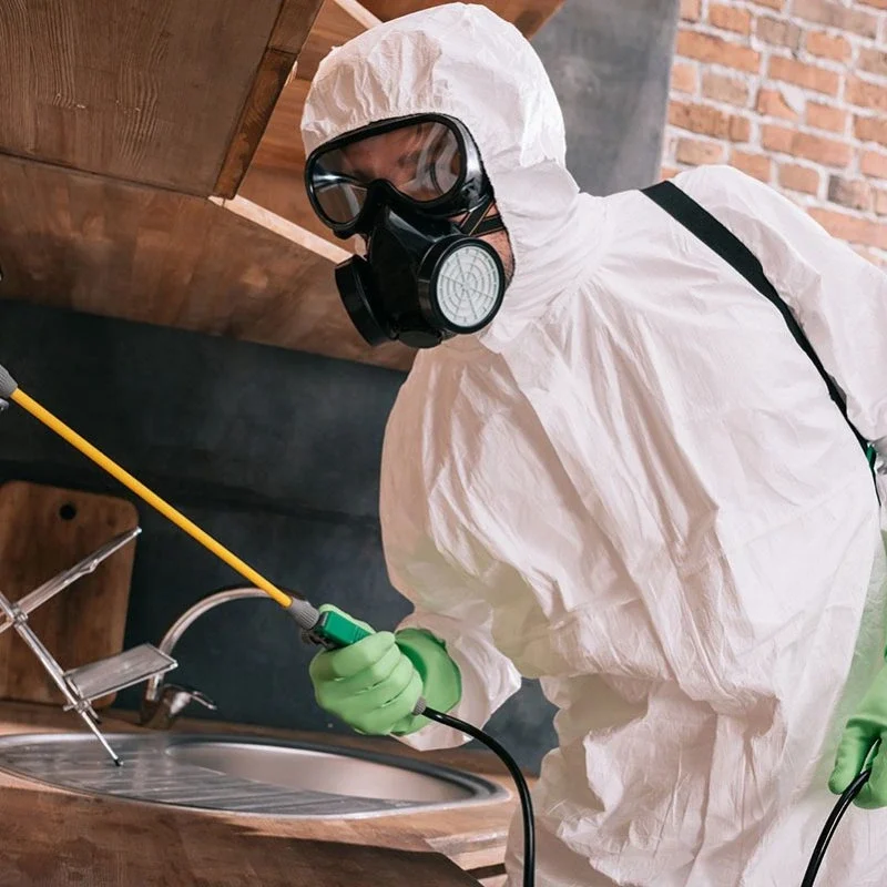 pest-control-worker-spraying-pesticides-on-metal-s-2022-12-16-20-42-17-utc-qbypt8bsx0e442z0f2alsyg0syvr3afuodrvgbegqo pest-control-worker-spraying-pesticides-on-metal-s-2022-12-16-20-42-17-utc-qbypt8bsx0e442z0f2alsyg0syvr3afuodrvgbegqo